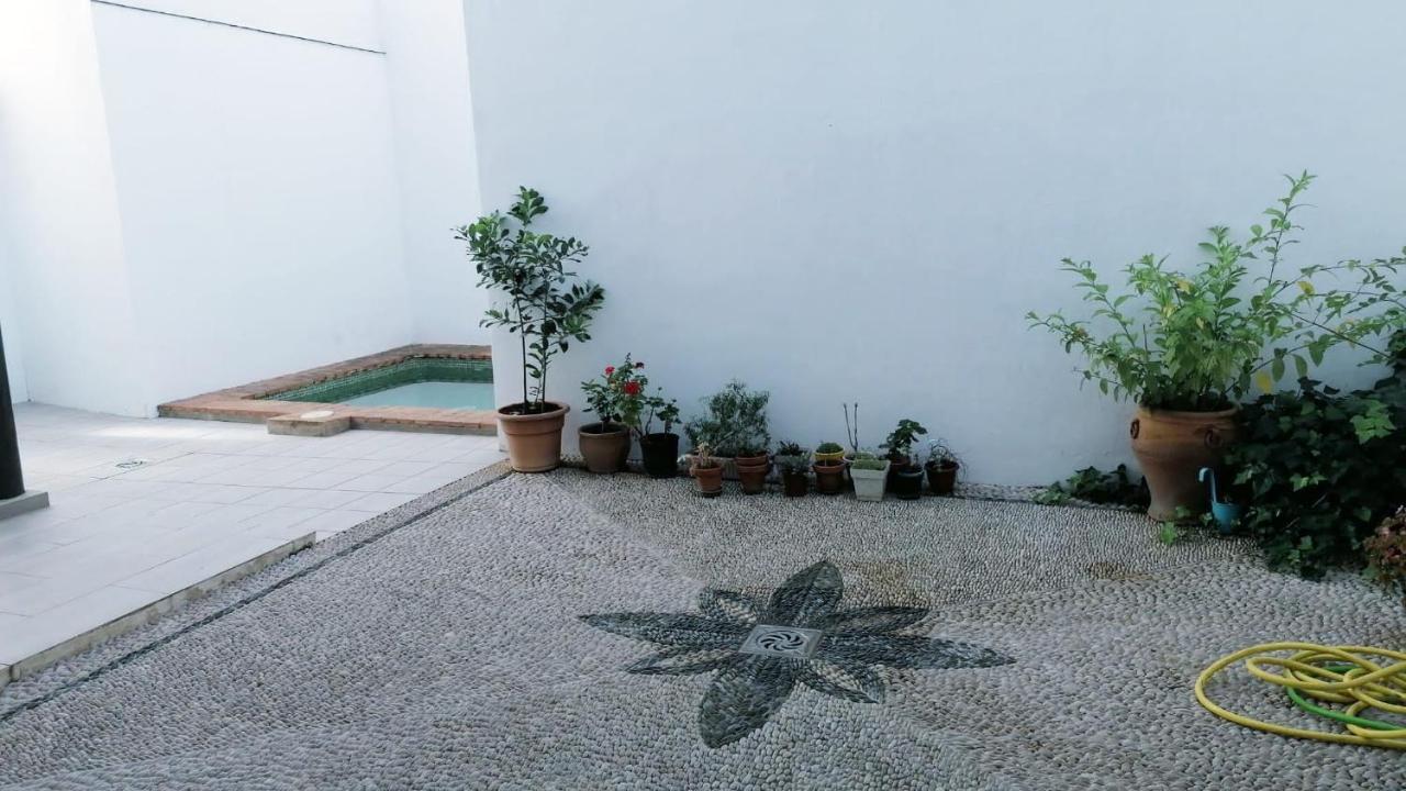 Apartamento Las Tazas 科爾多瓦 外观 照片